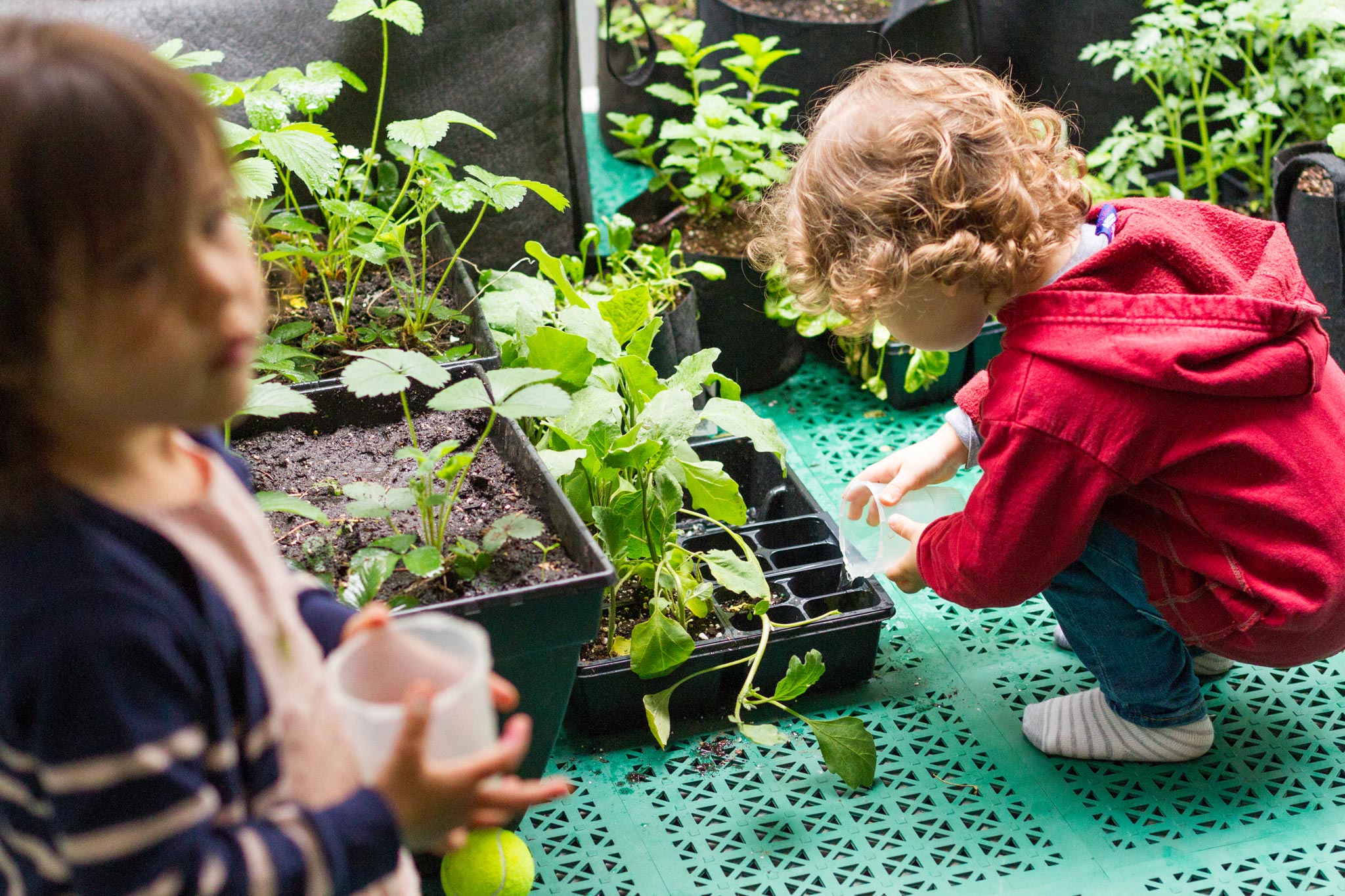 Summer Camp in NYC for Toddlers & Preschoolers